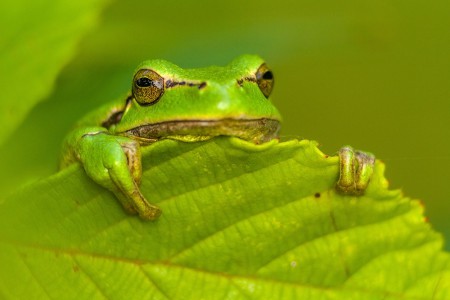 /products/produkt-1/